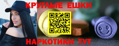 крисы Гай