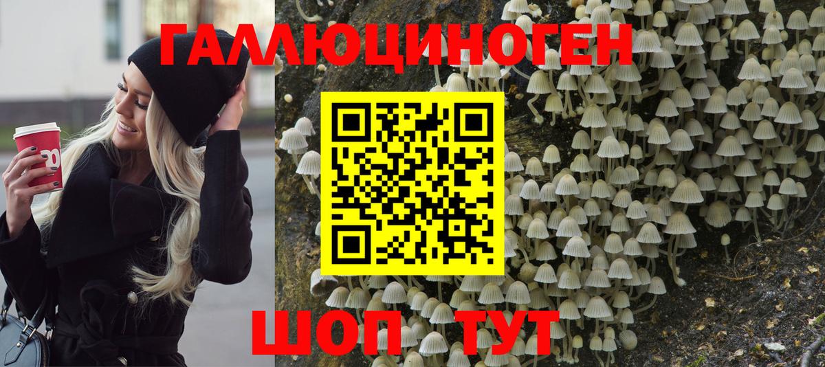где купить   Псилоцибиновые грибы мицелий  Вход с VPN  Трёхгорный 